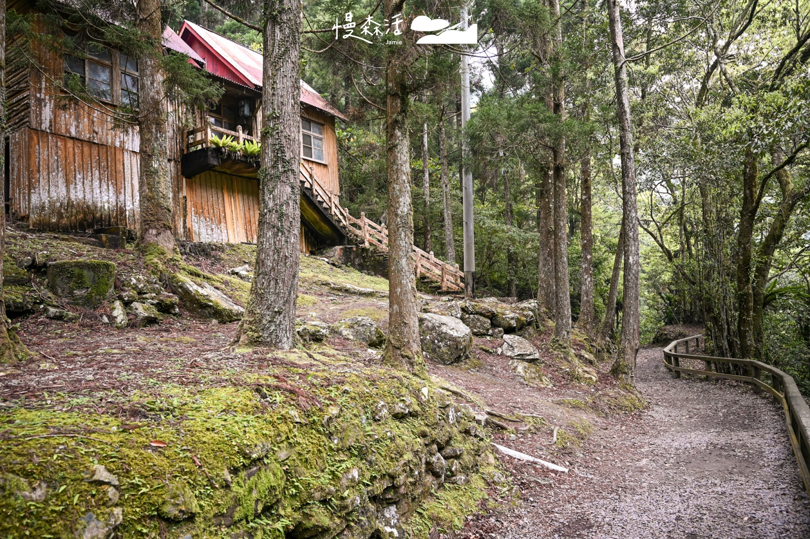 新北市山峽區｜滿月圓國家森林遊樂區