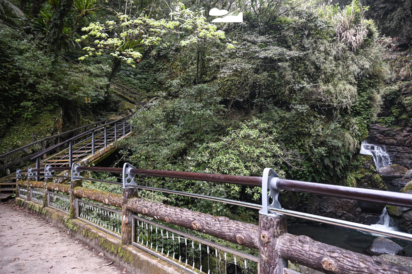 新北市山峽區｜滿月圓國家森林遊樂區