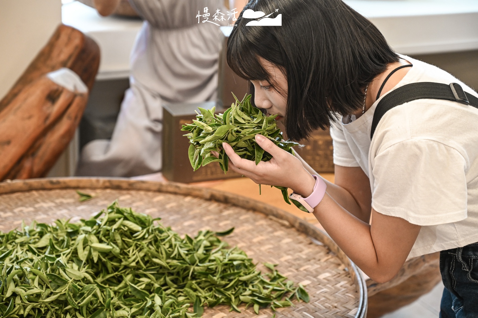 台東縣鹿野鄉 饗嚮台東體驗盒子農夫 茶葉進行日光委凋