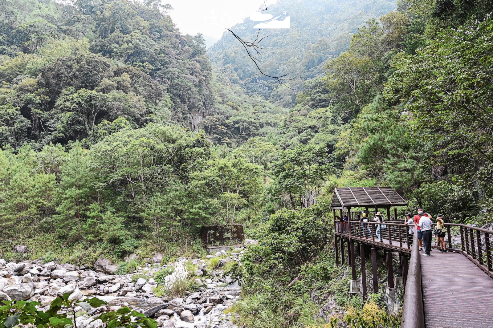 台中市和平區 八仙山國家森林遊樂區