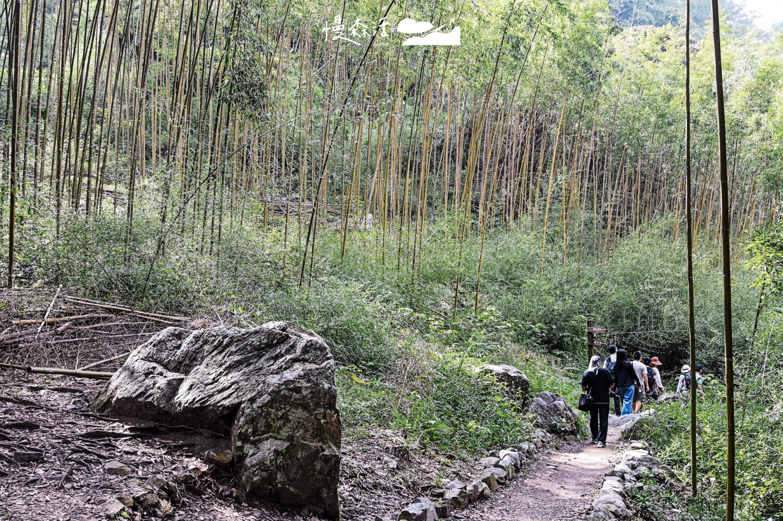 台中市和平區 八仙山國家森林遊樂區