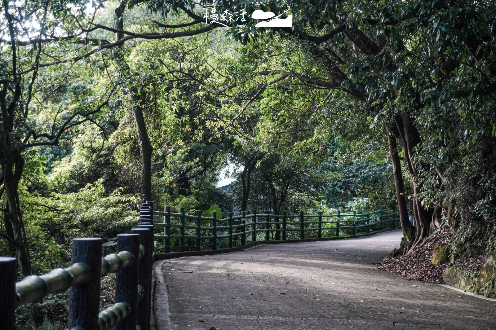 台北散步計畫！搭公車健行陽明山3款親和路線景點