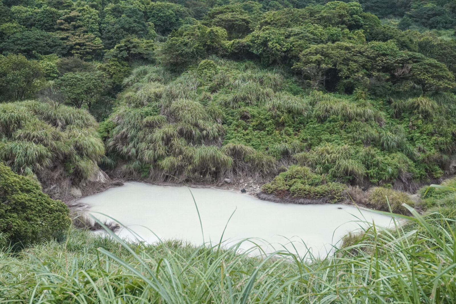 台北市士林區 陽明山冷水坑牛奶湖
