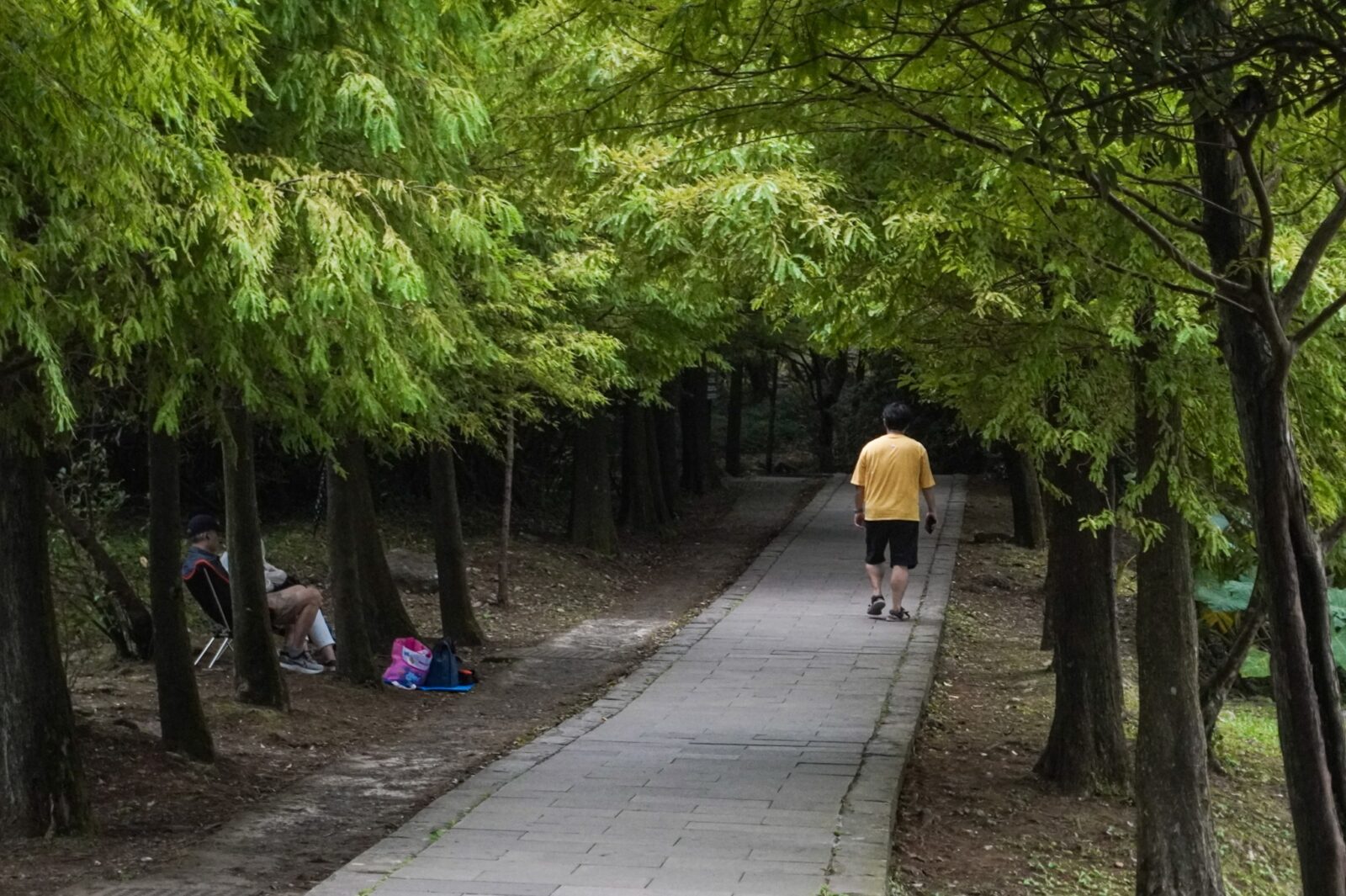 台北市士林區 陽明山菁山吊橋