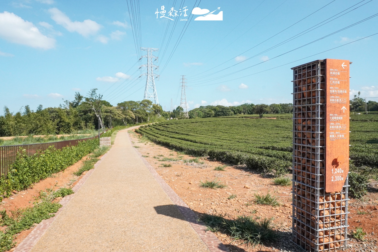 新竹縣湖口鄉 茶香步道 秘境景點