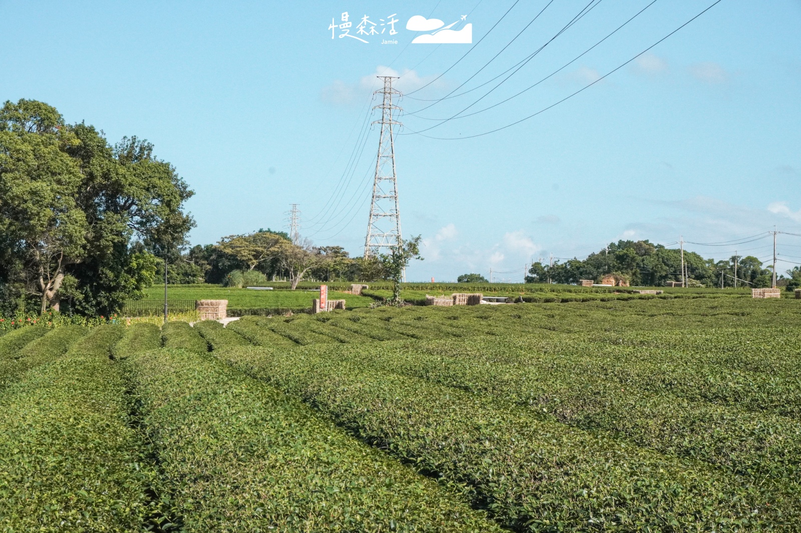 新竹縣湖口鄉 茶香步道尋碉堡秘境景點