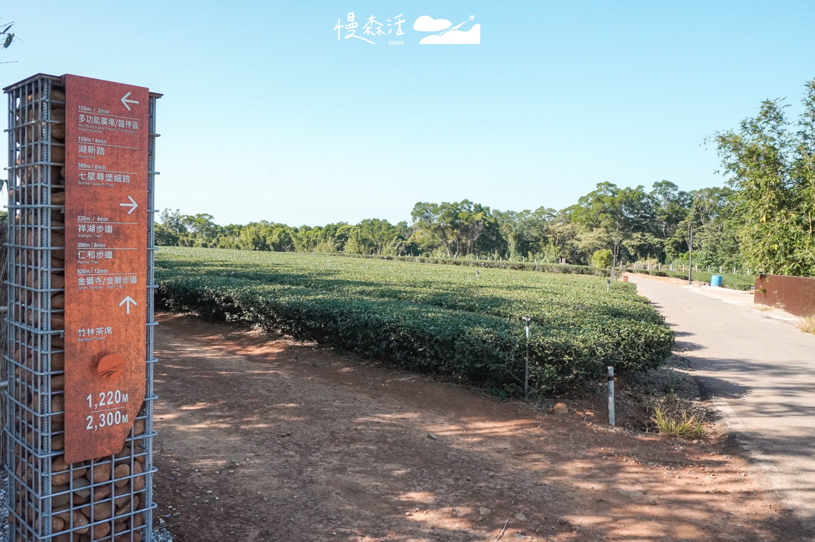 新竹縣湖口鄉 秘境景點「茶香步道」