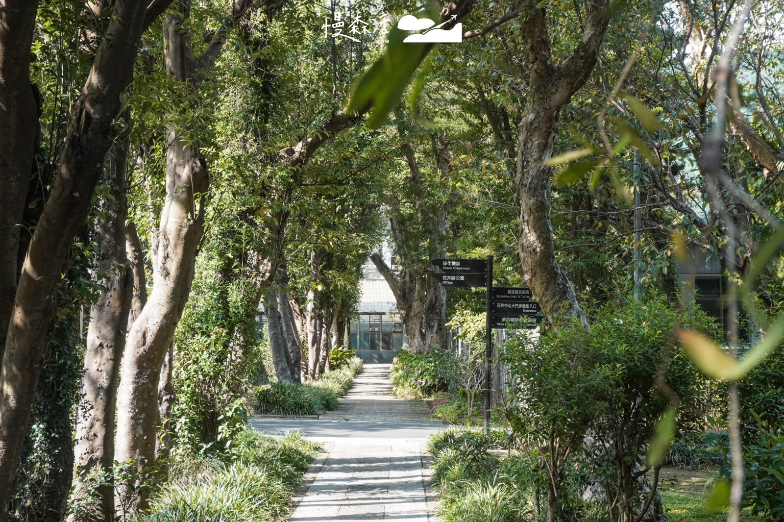 台北市士林區 陽明山花卉試驗中心 園內步道
