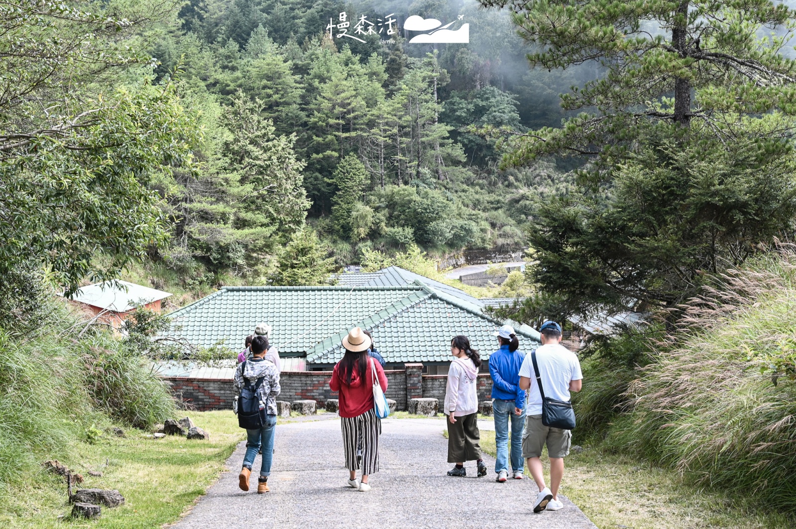 台中和平區 大雪山國家森林遊樂區 前往小雪山旅遊資訊站