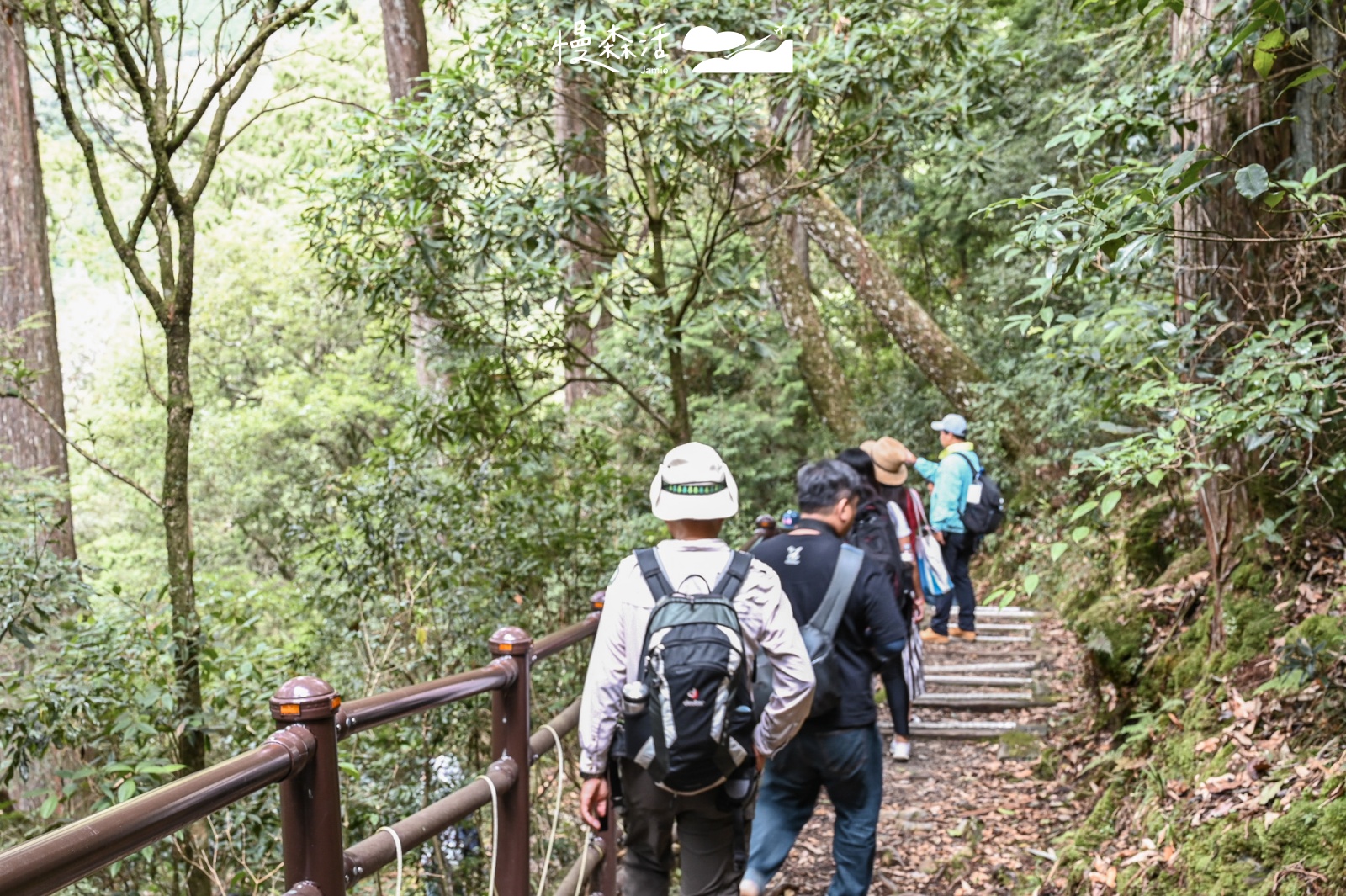 台中和平區 大雪山國家森林遊樂區