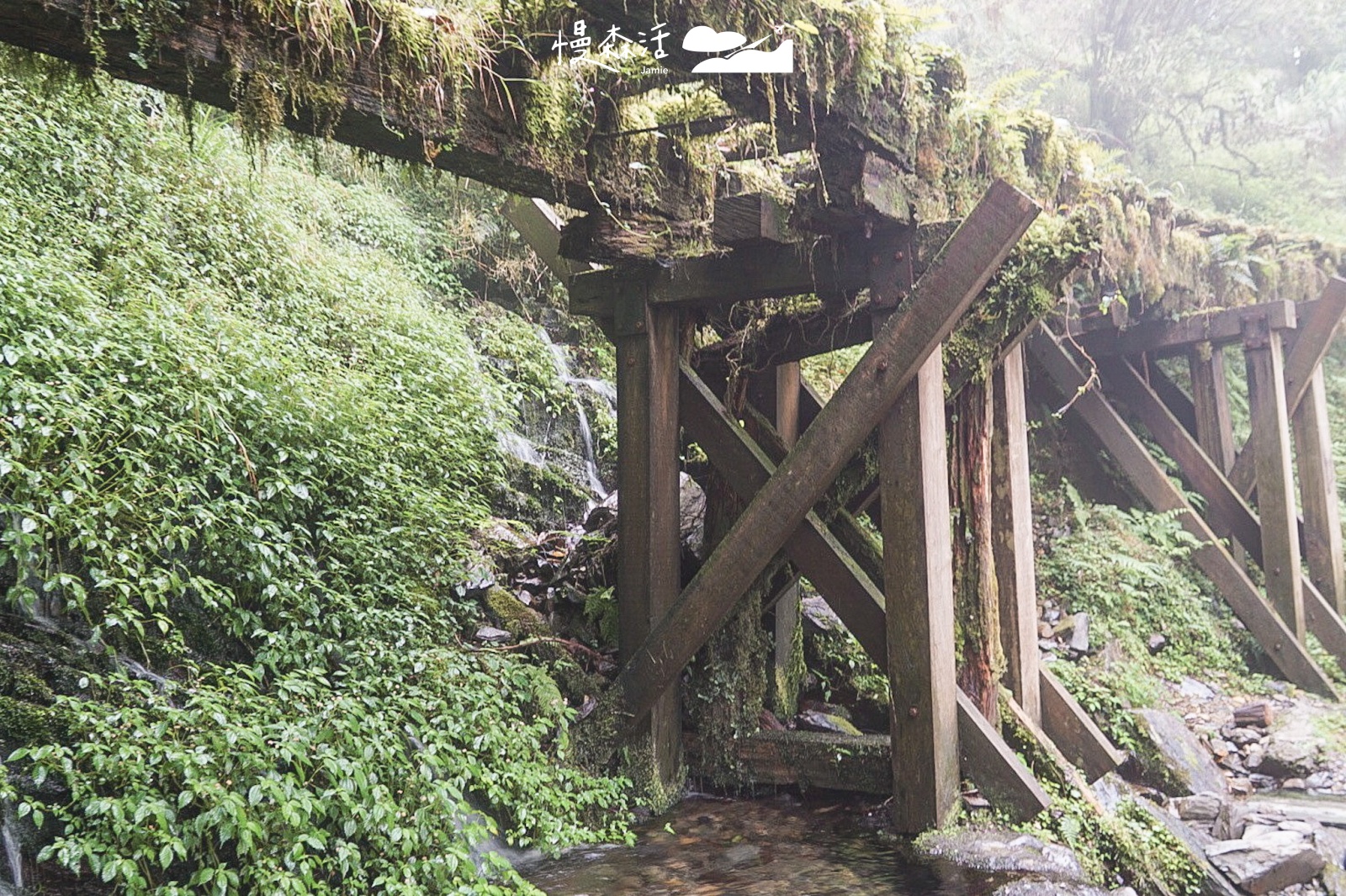 宜蘭太平山國家森林遊樂區 見晴懷古步道