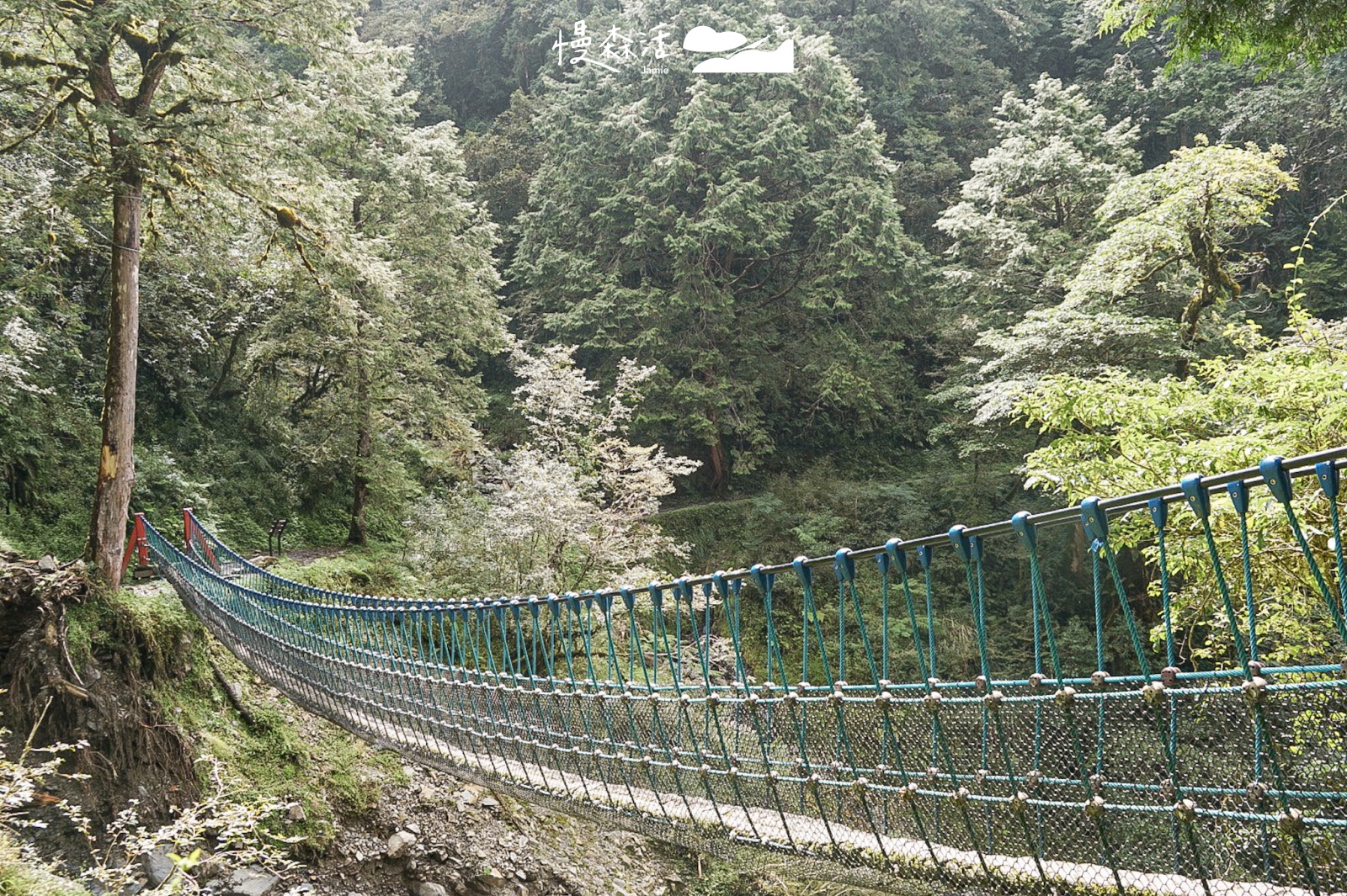 宜蘭太平山國家森林遊樂區 見晴懷古步道