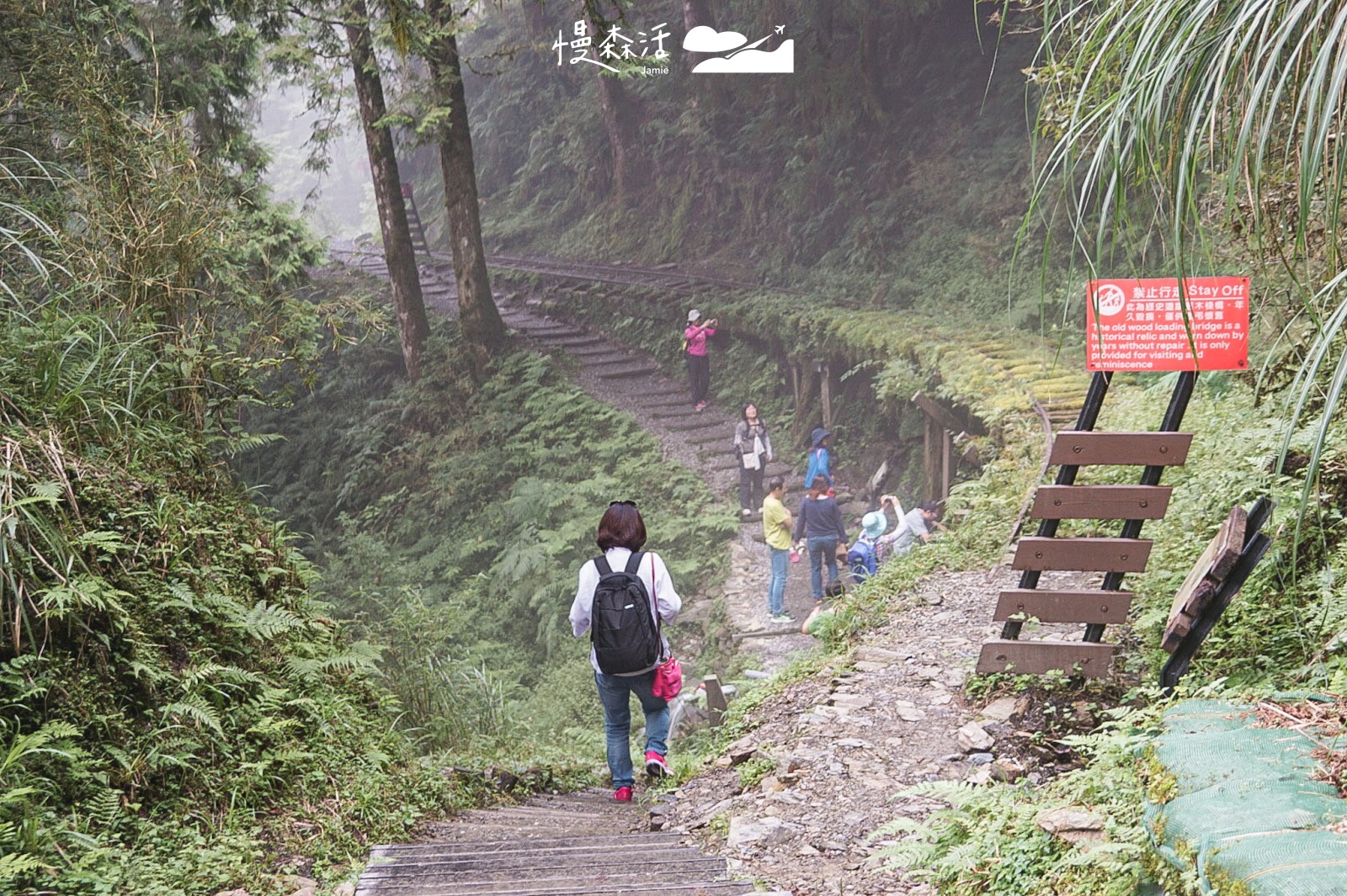 宜蘭縣大同鄉｜太平山國家森林遊樂區迎曙光 見晴懷古步道