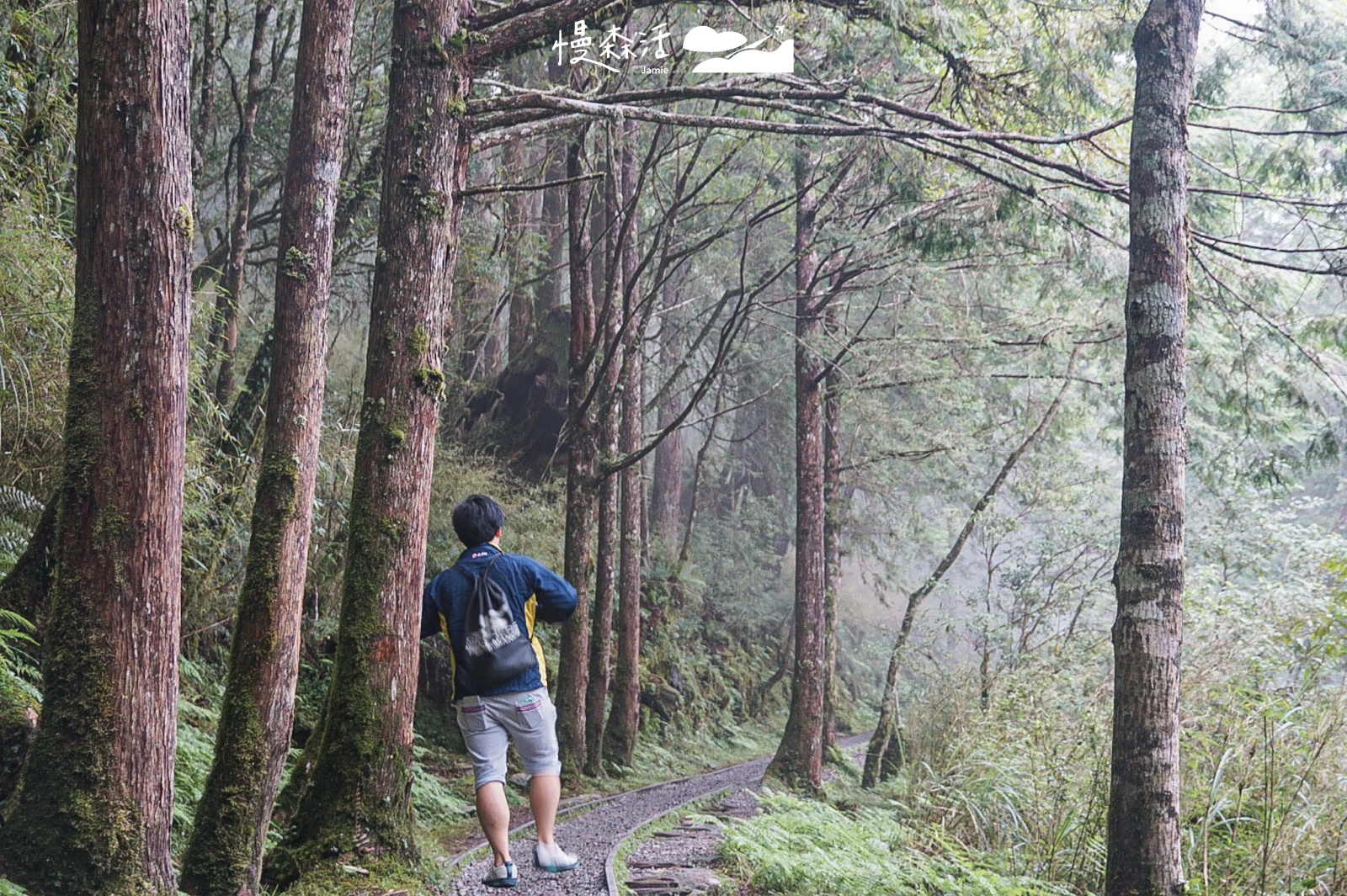 宜蘭太平山國家森林遊樂區 見晴懷古步道