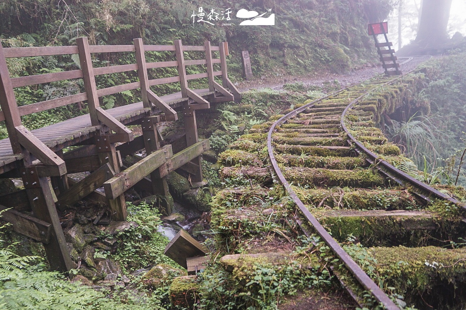 宜蘭太平山國家森林遊樂區 見晴懷古步道