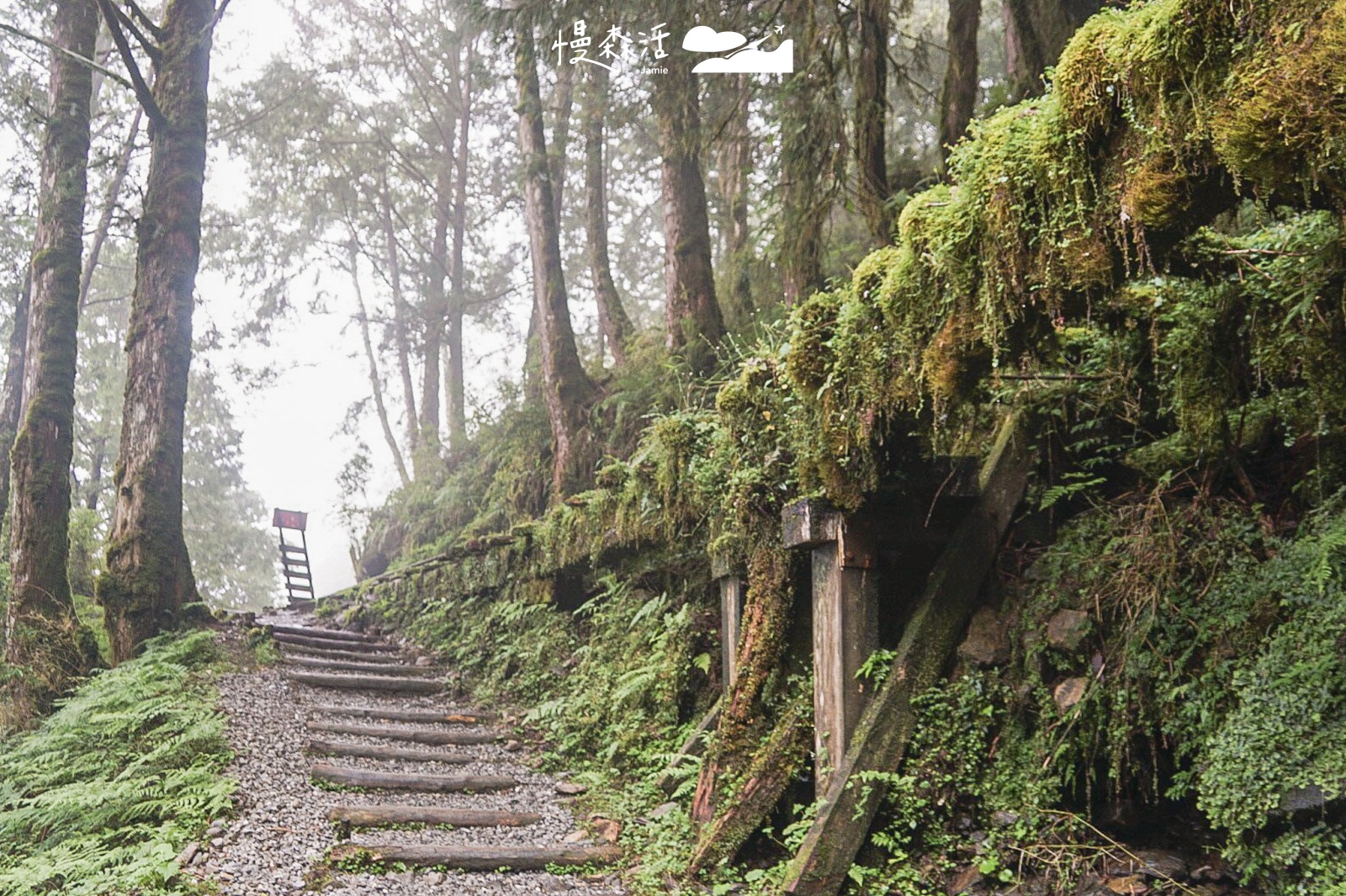 宜蘭太平山國家森林遊樂區 見晴懷古步道