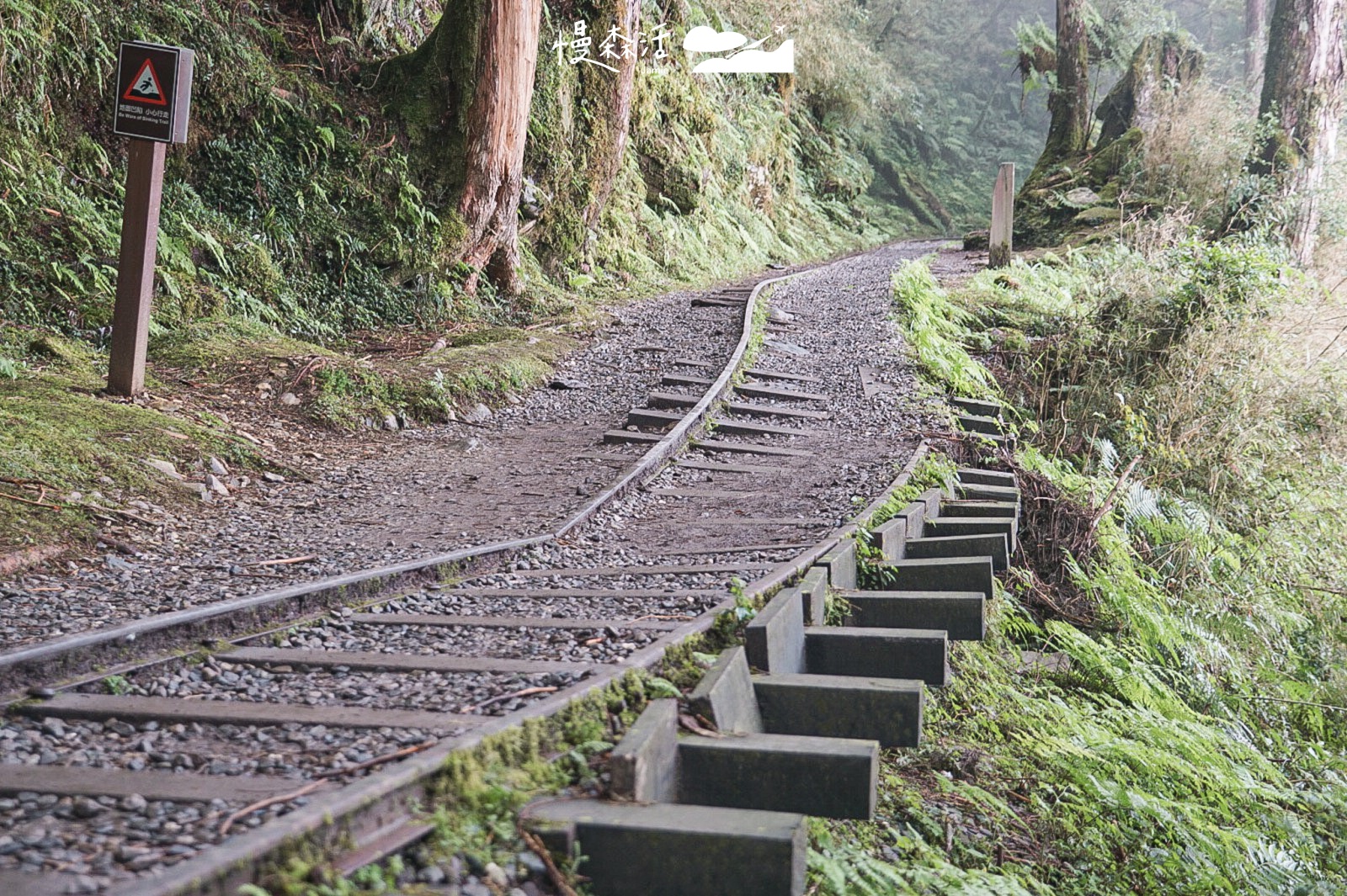 宜蘭太平山國家森林遊樂區 見晴懷古步道