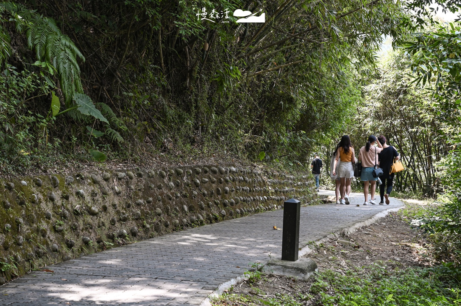 新竹縣湖口鄉｜寶山水庫環湖步道