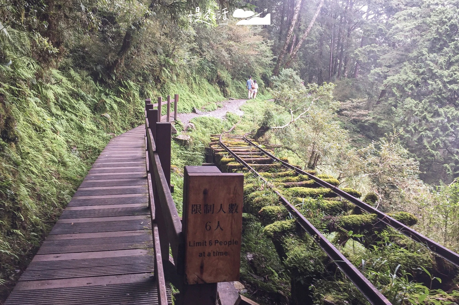 宜蘭太平山國家森林遊樂區 見晴懷古步道