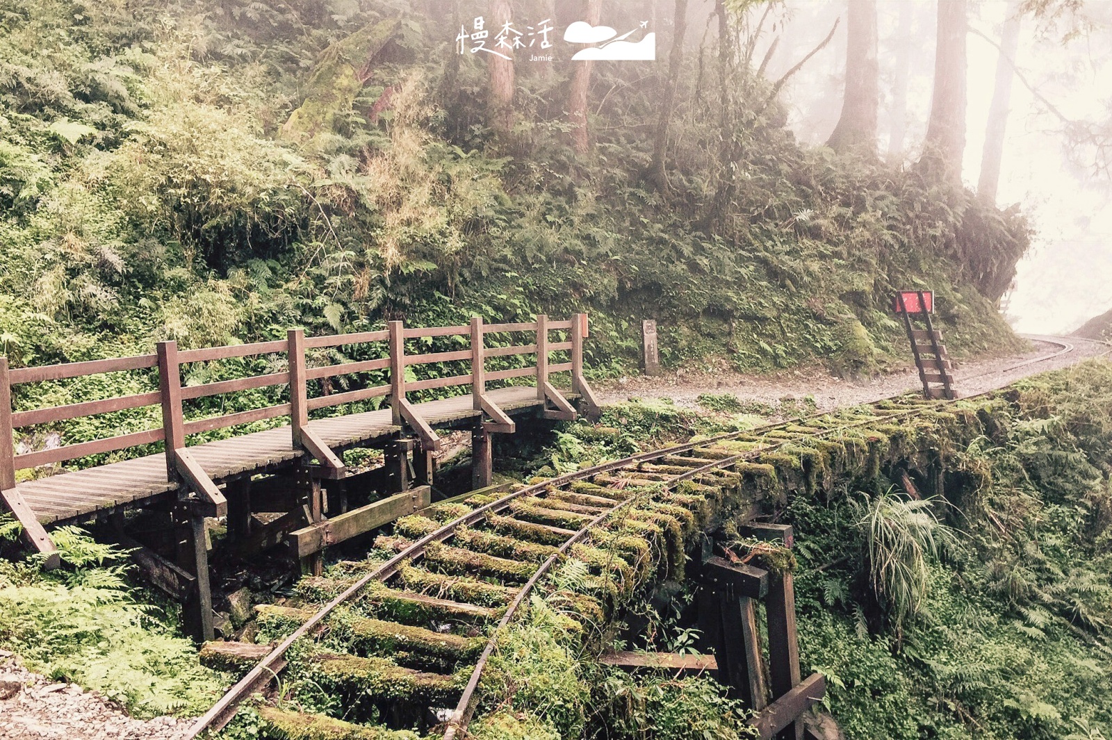 宜蘭太平山見晴懷古步道！森林小徑尋台車軌跡幽靜美景