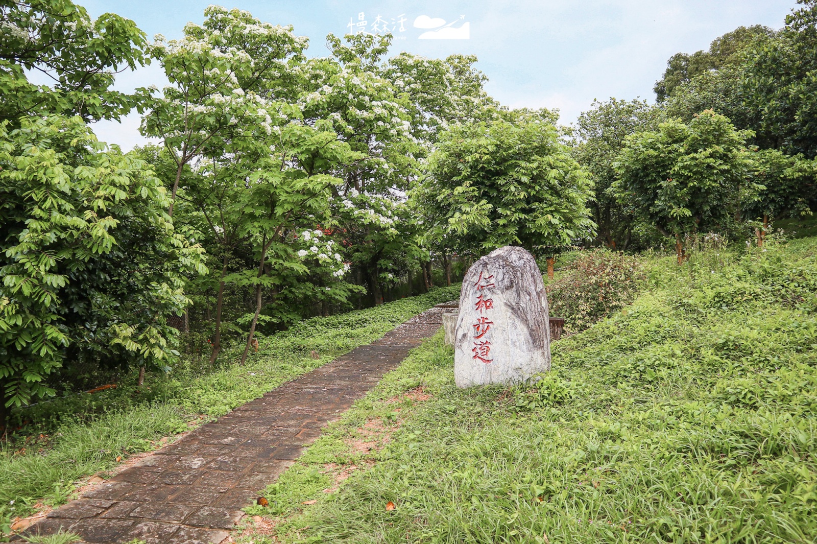 新竹縣湖口鄉｜仁和步道