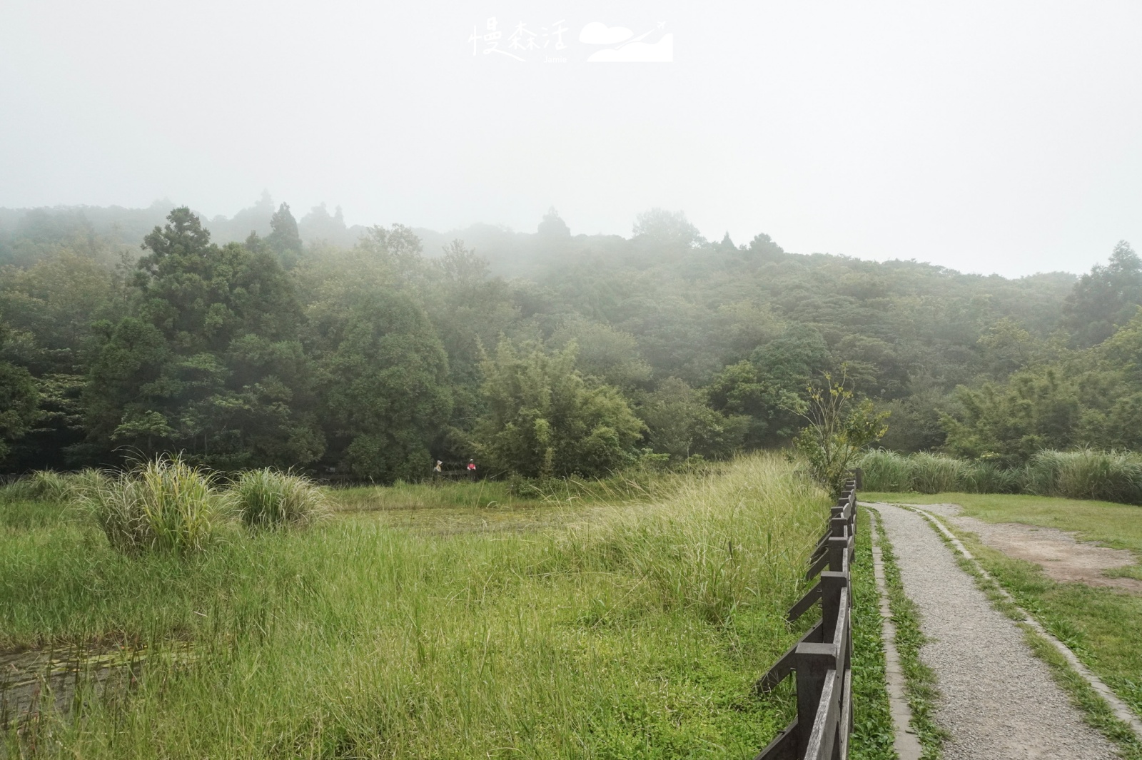 搭公車散步台北｜陽明山菁山吊橋