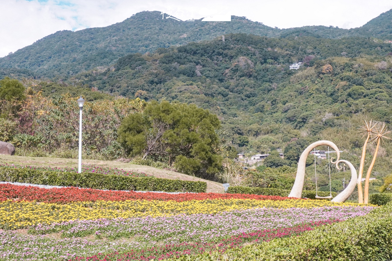 台北市北投區 北投社三層崎公園花海