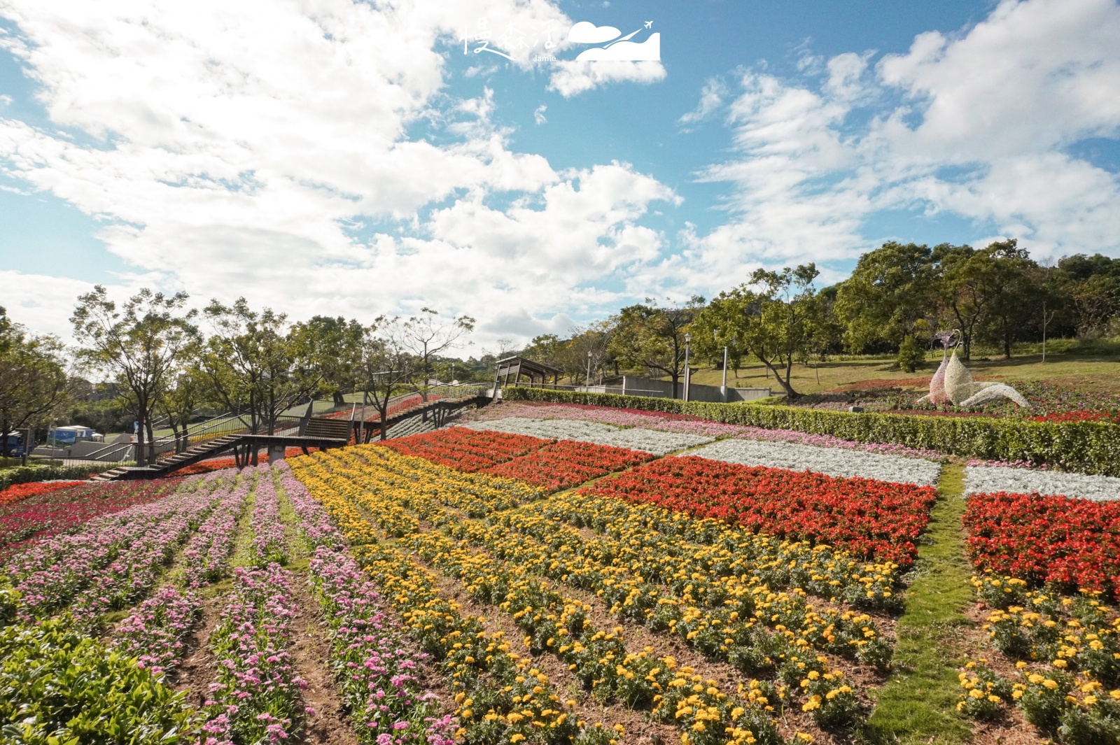 台北市北投區 北投社三層崎公園花海