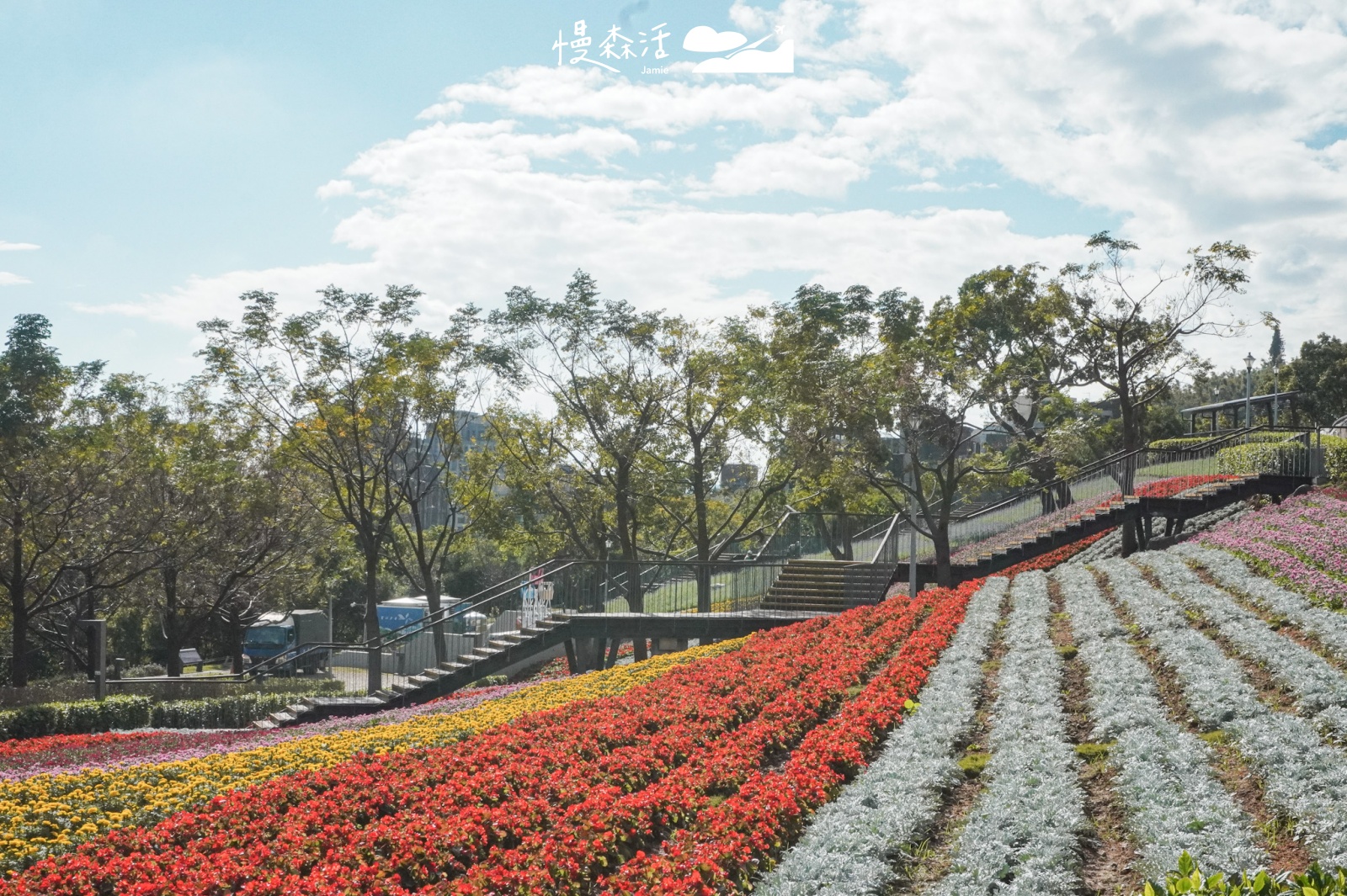 台北市北投區 北投社三層崎公園花海