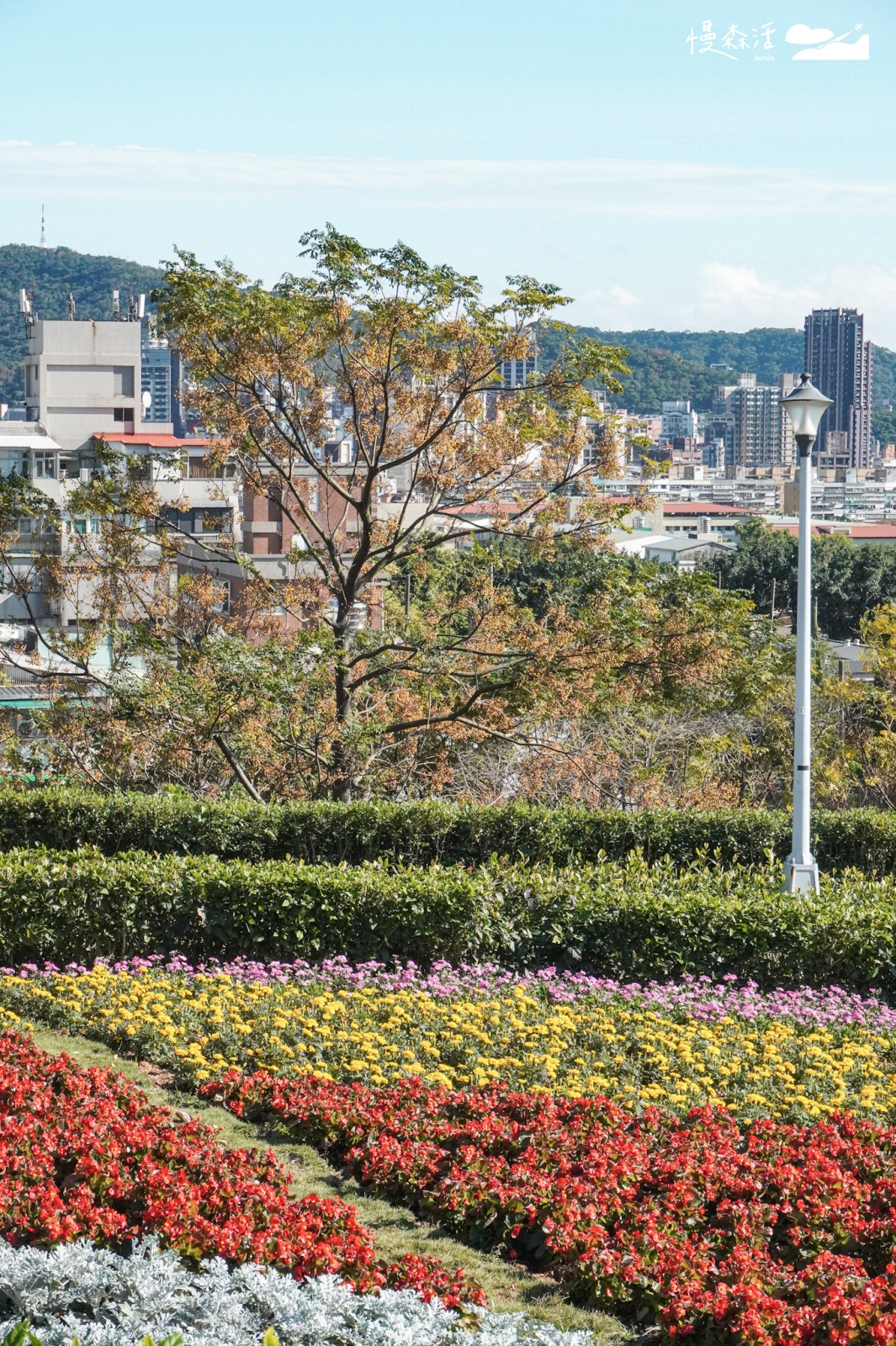 台北市北投區 北投社三層崎公園花海