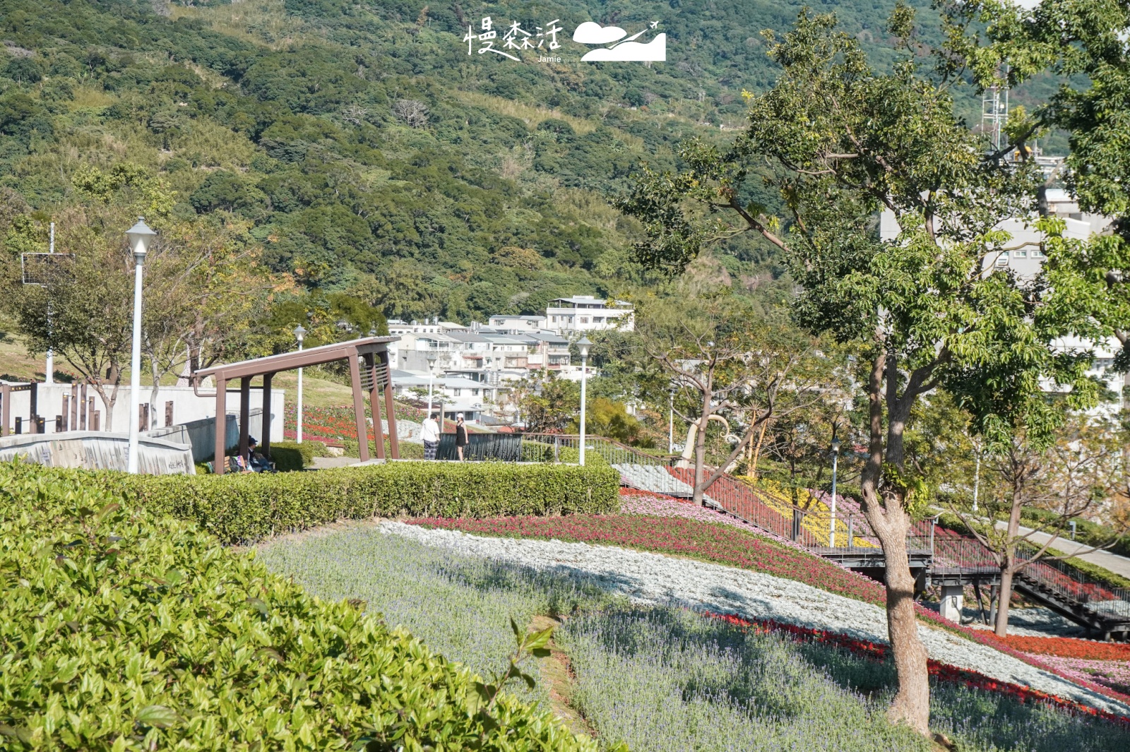 台北市北投區 北投社三層崎公園花海