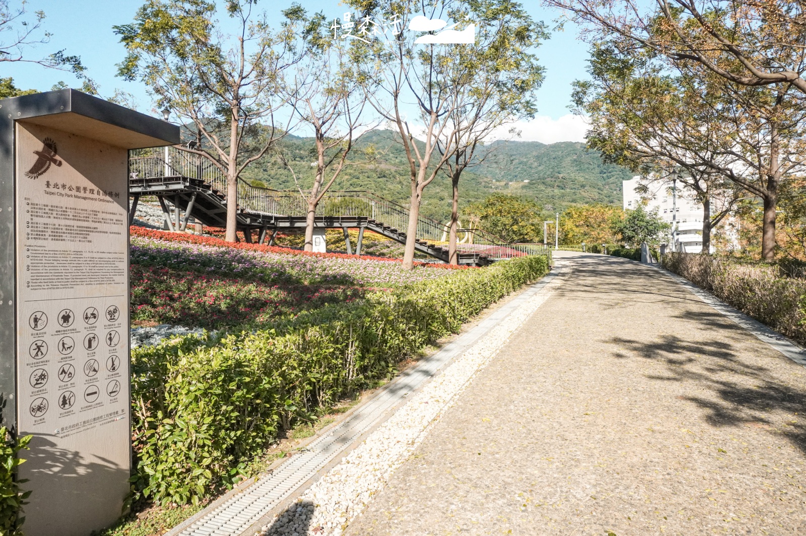 台北市北投區 北投社三層崎公園花海