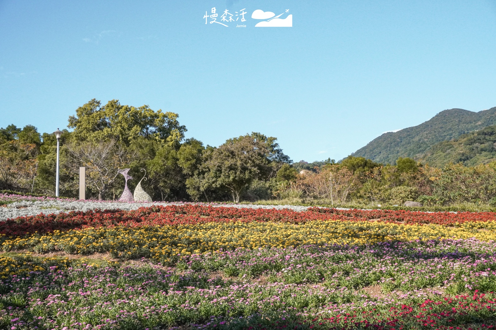 台北市北投區 北投社三層崎公園花海