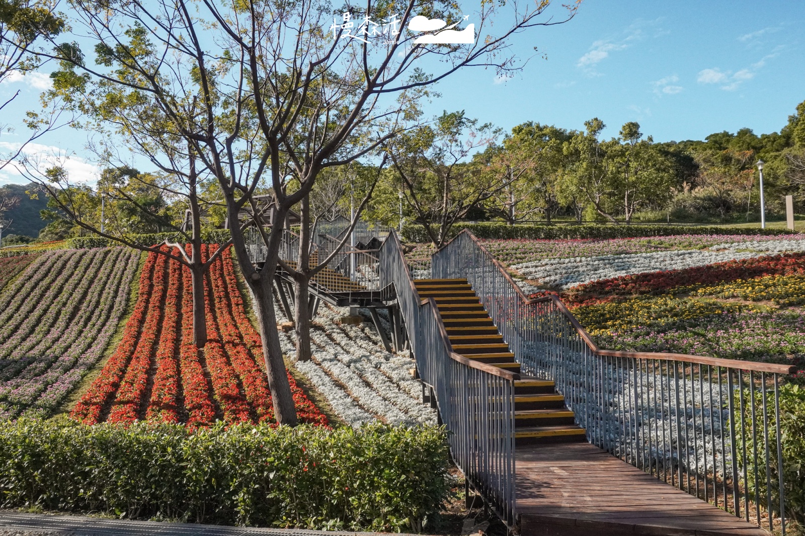 台北市北投區 北投社三層崎公園花海