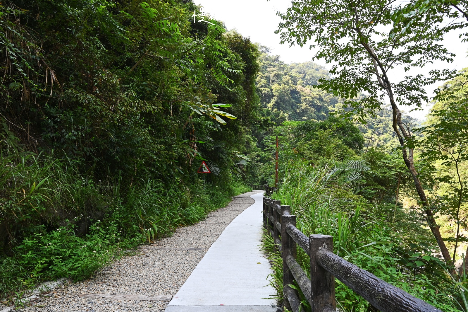 新北市烏來區｜信賢步道