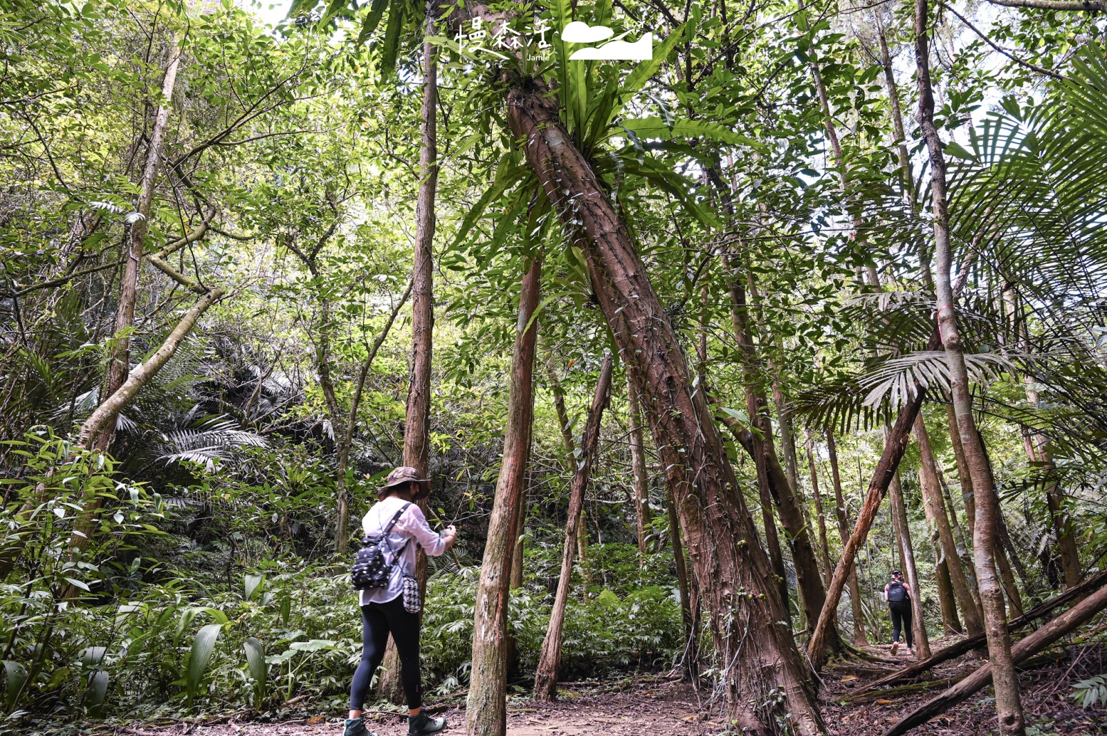 新北市平溪區 嶺腳寮步道