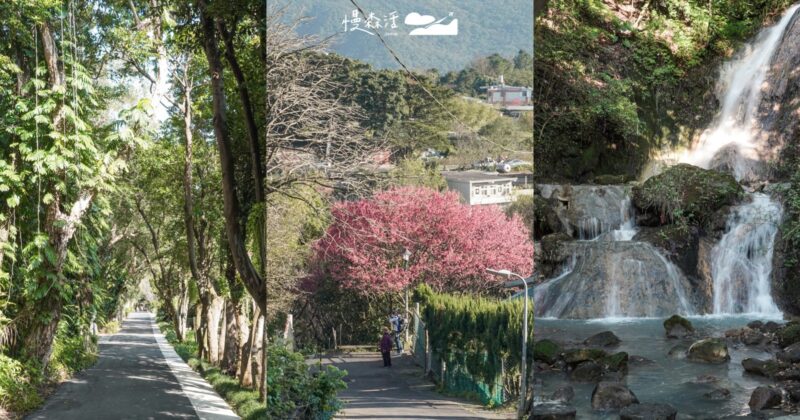 春節戶外出遊！搭公車散步台北陽明山8個自然景點