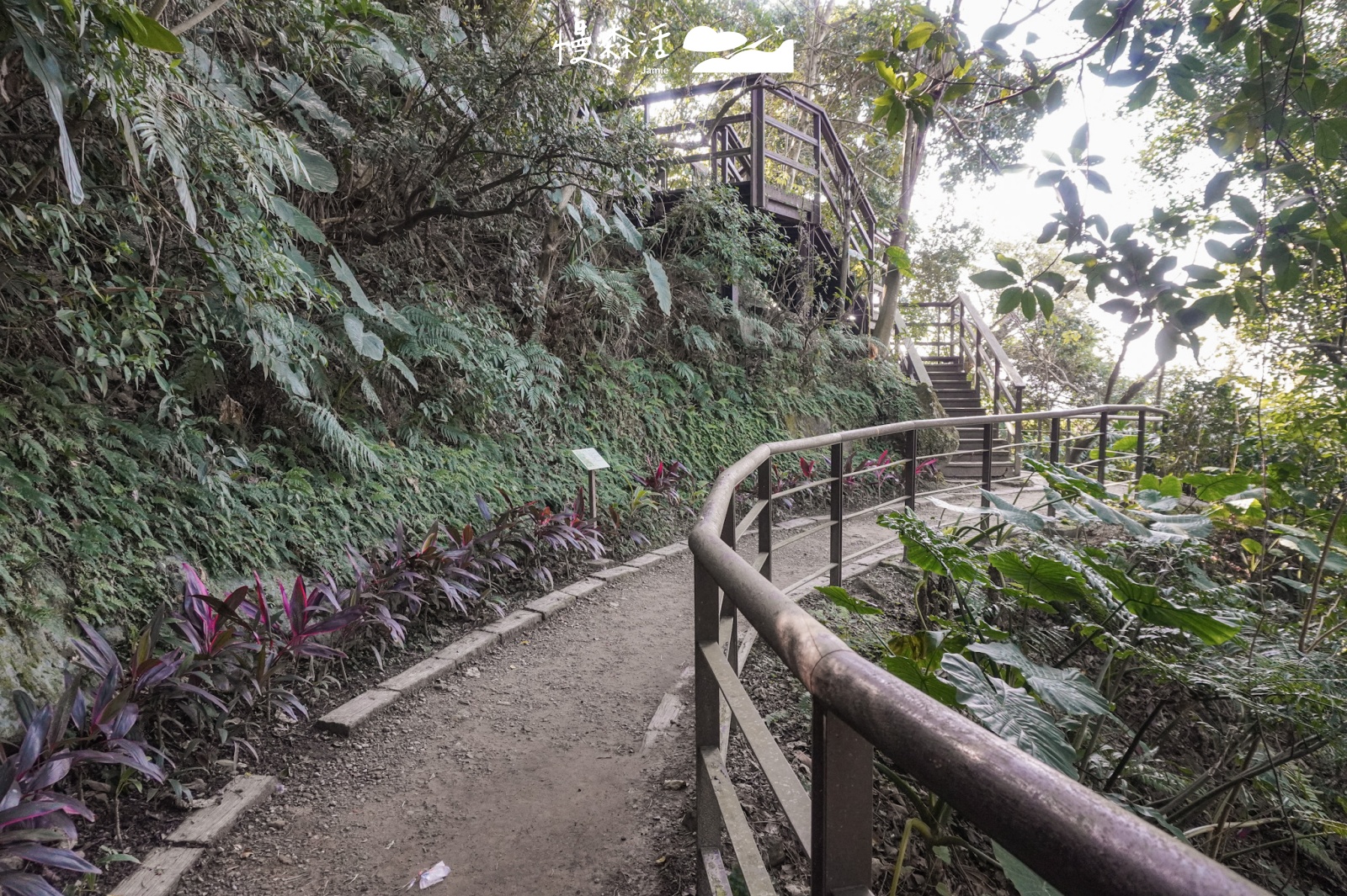 台北平易近人步道｜景美仙跡岩