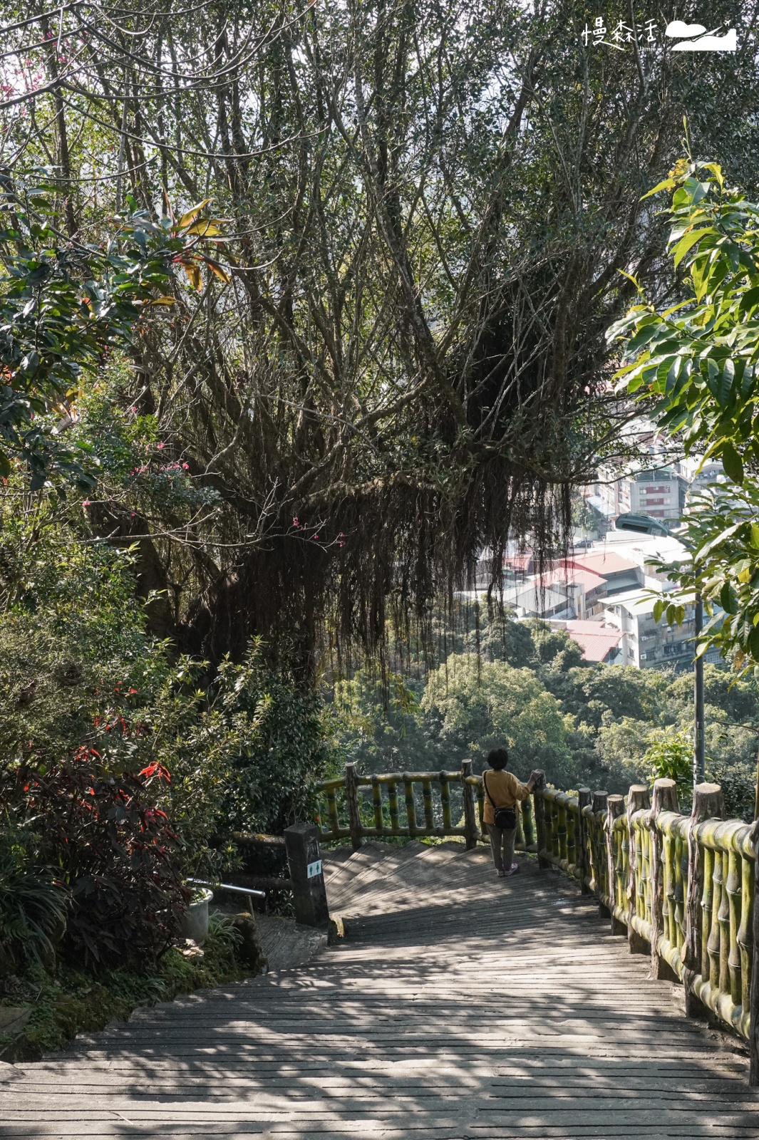 台北平易近人步道｜景美仙跡岩