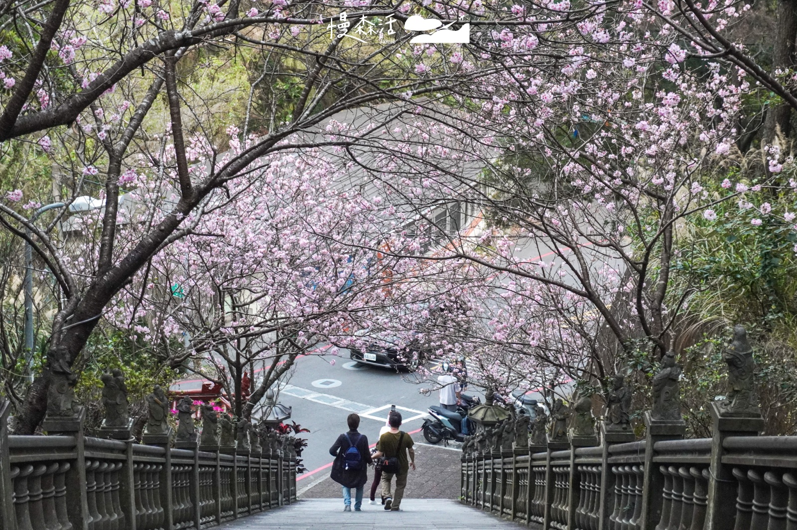 內湖碧山巖喝咖啡！穿梭櫻花隧道瞭望台北城市美景