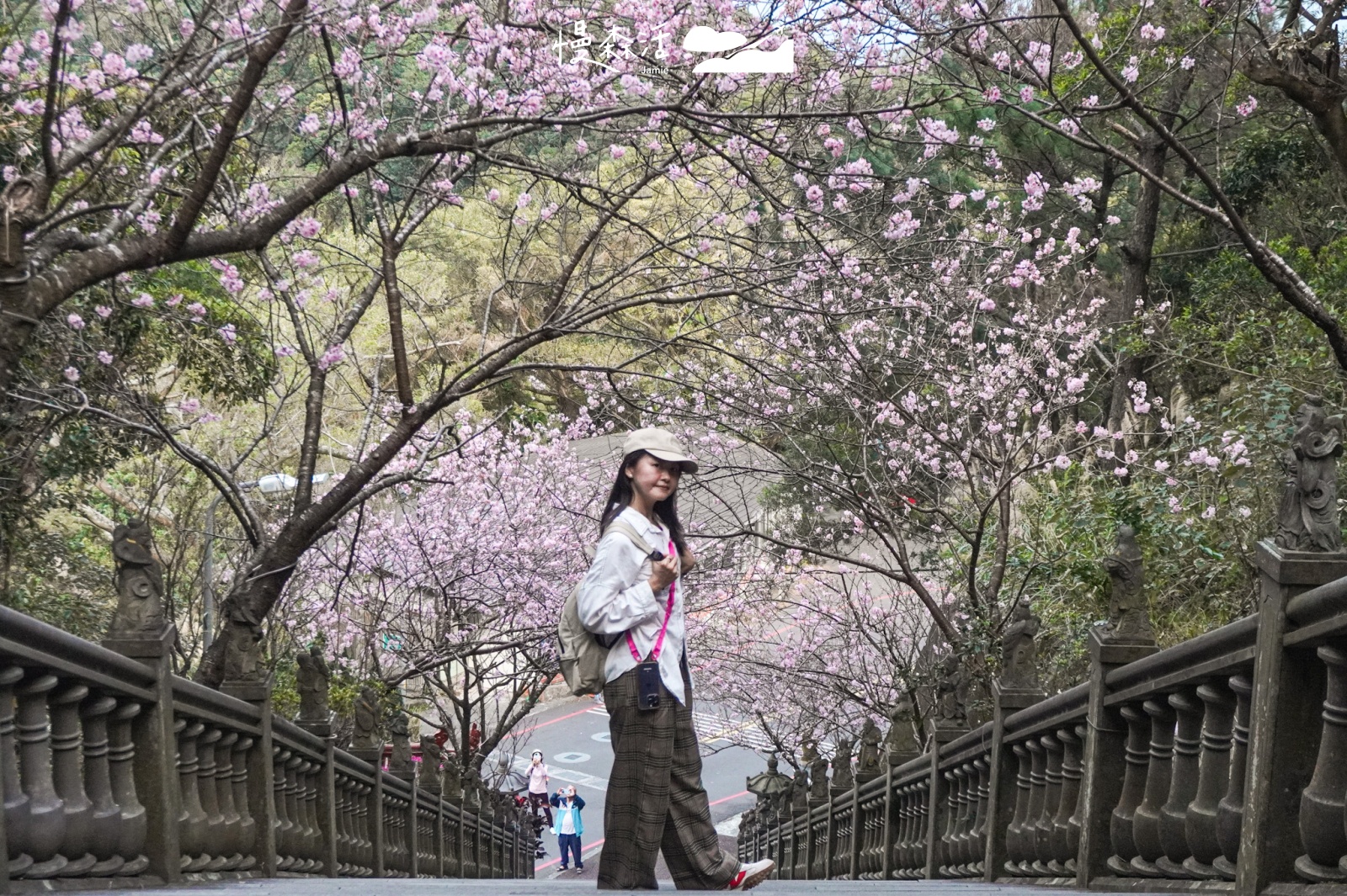 台北市內湖區 碧山巖賞櫻花隧道