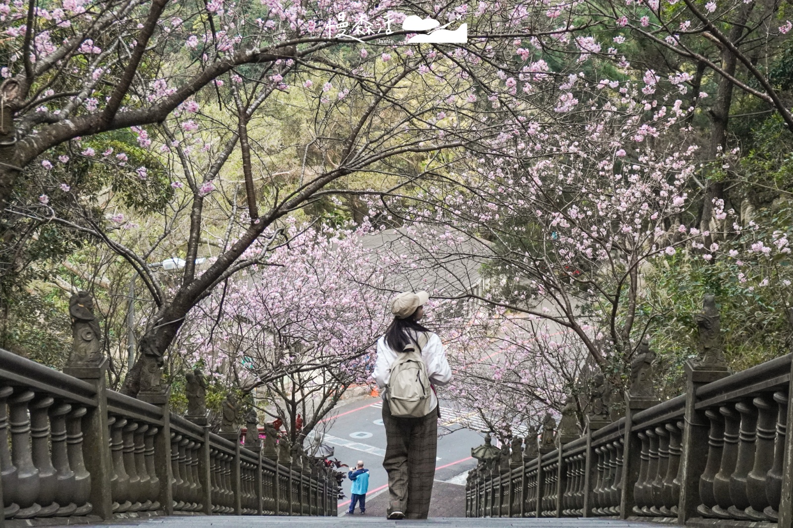 台北市內湖區 碧山巖賞櫻花隧道