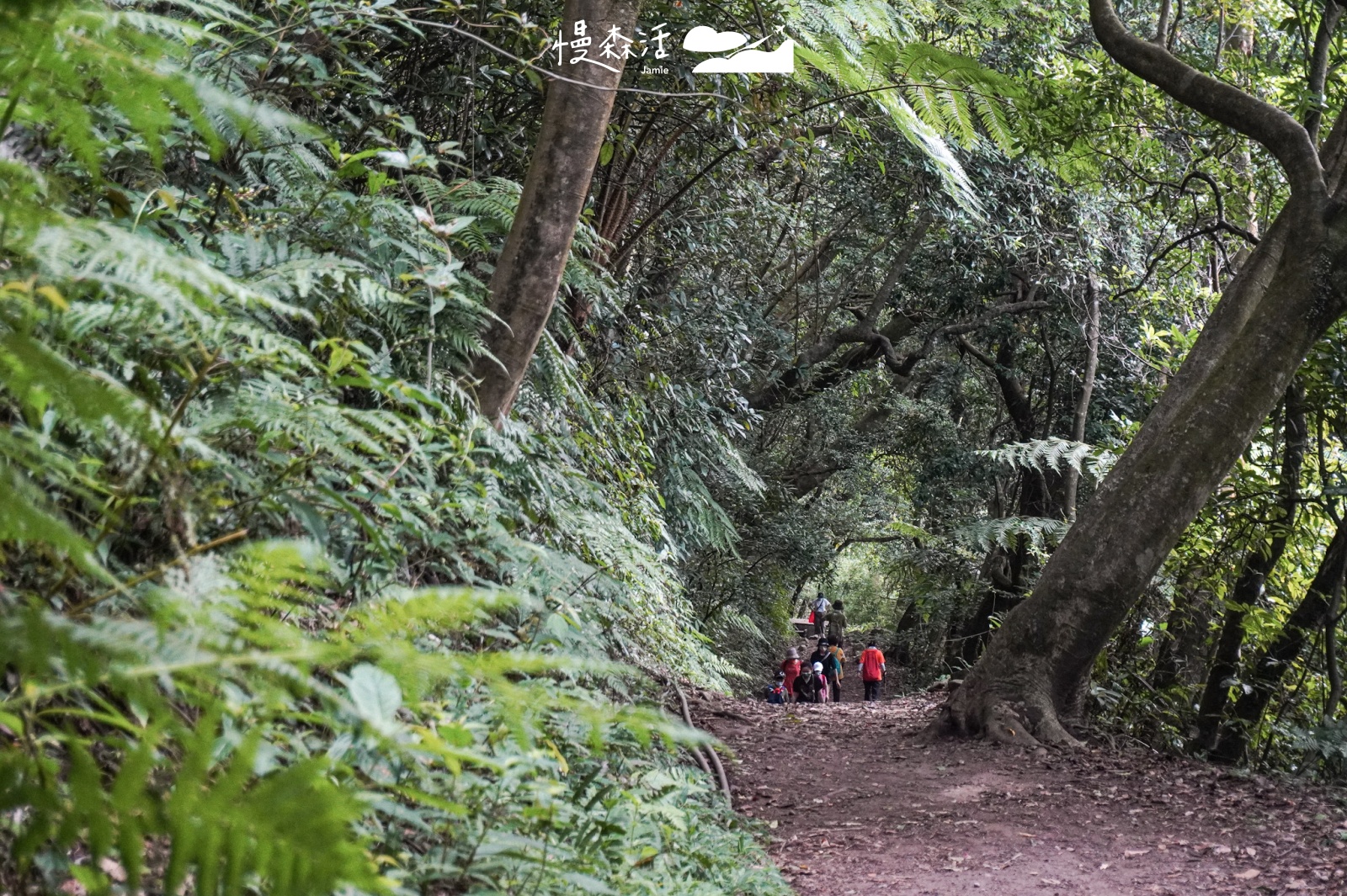 台北近郊避開人潮景點｜陽明山橫嶺古道