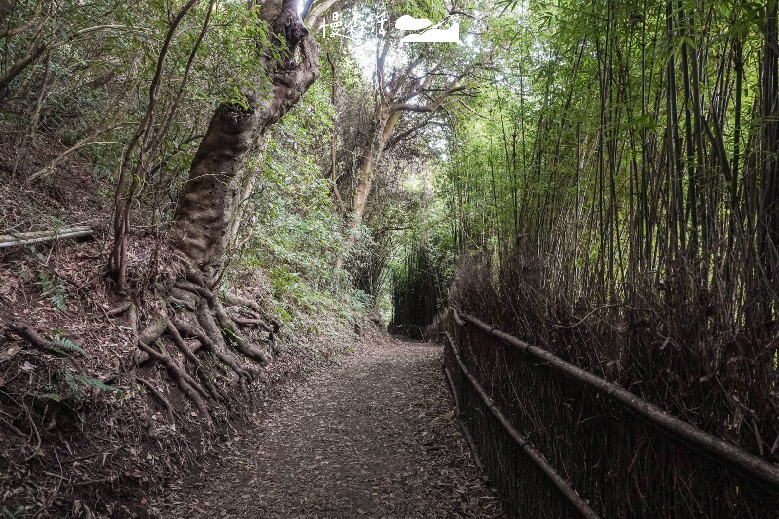 台北近郊避開人潮景點｜陽明山橫嶺古道