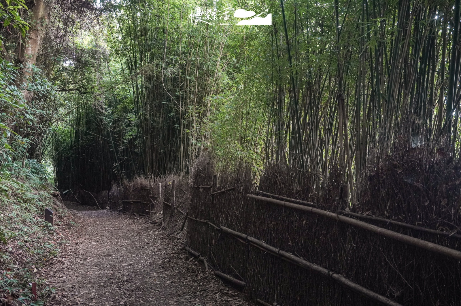 台北平易近人步道｜陽明山橫嶺古道