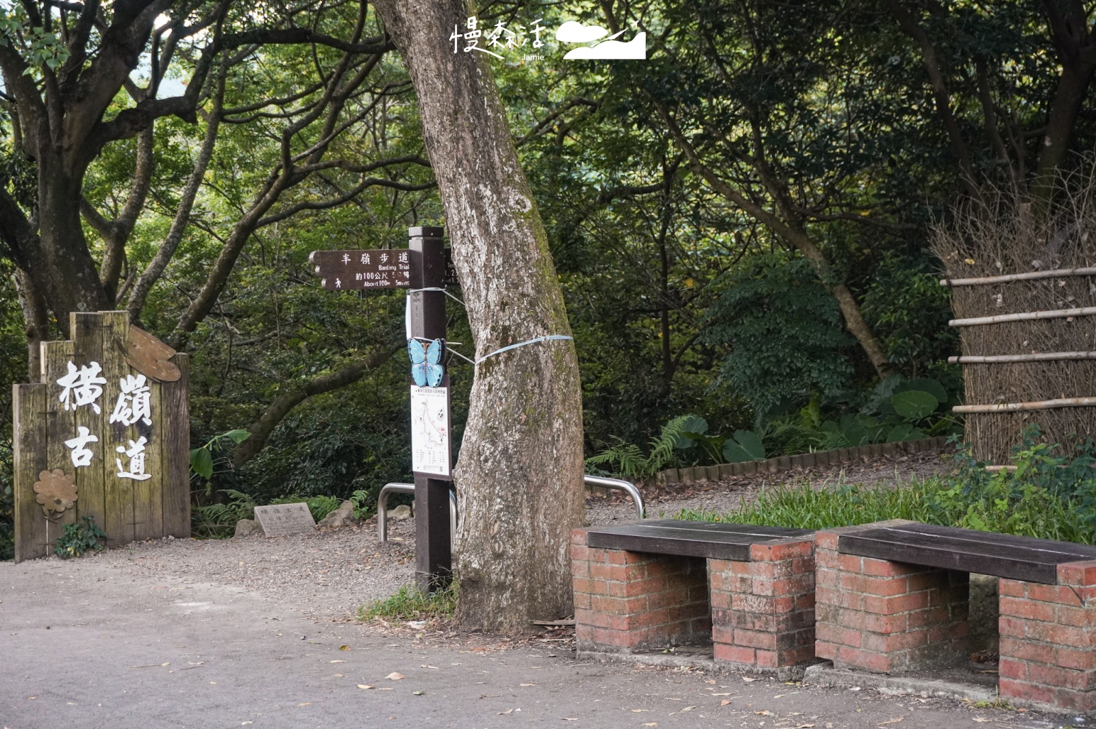 台北平易近人步道｜陽明山橫嶺古道