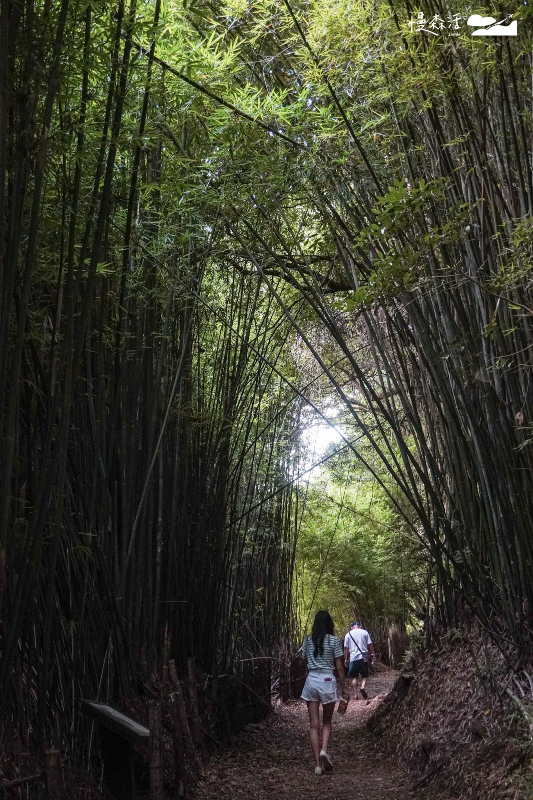 台北近郊避開人潮景點｜陽明山橫嶺古道