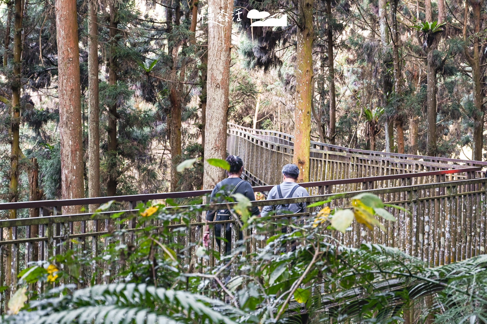 過年踏青去！春節全台走春景點地圖、交通路線一覽