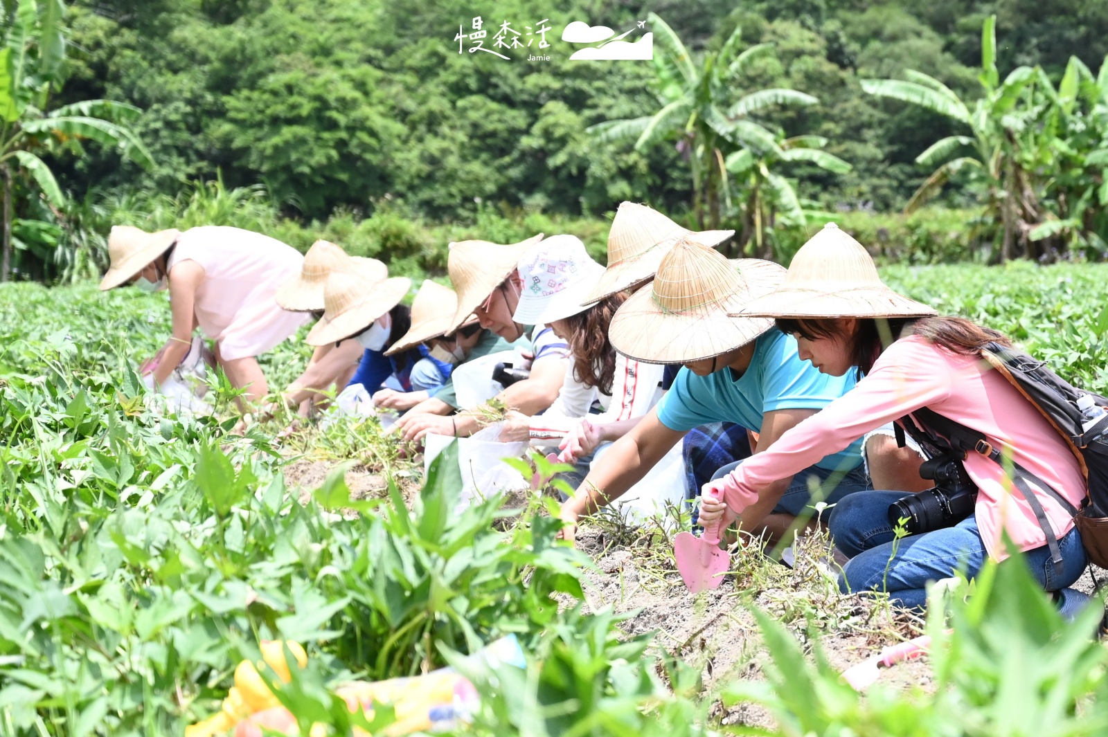 新北市金山區｜汪汪地瓜園