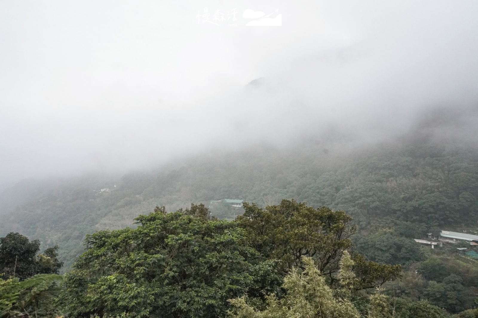 台北市文山區 貓空威叔茶莊戶外景色